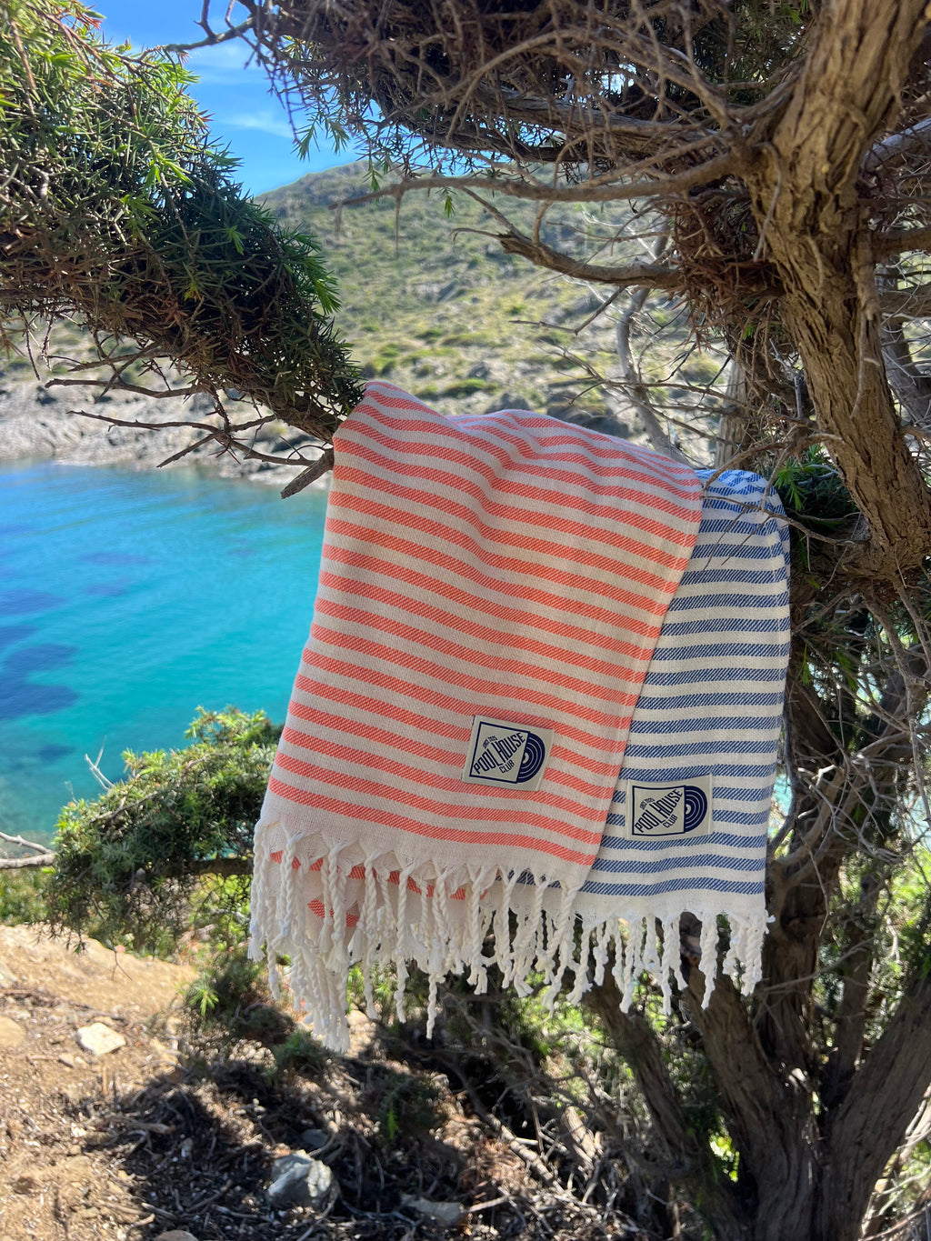 Fouta