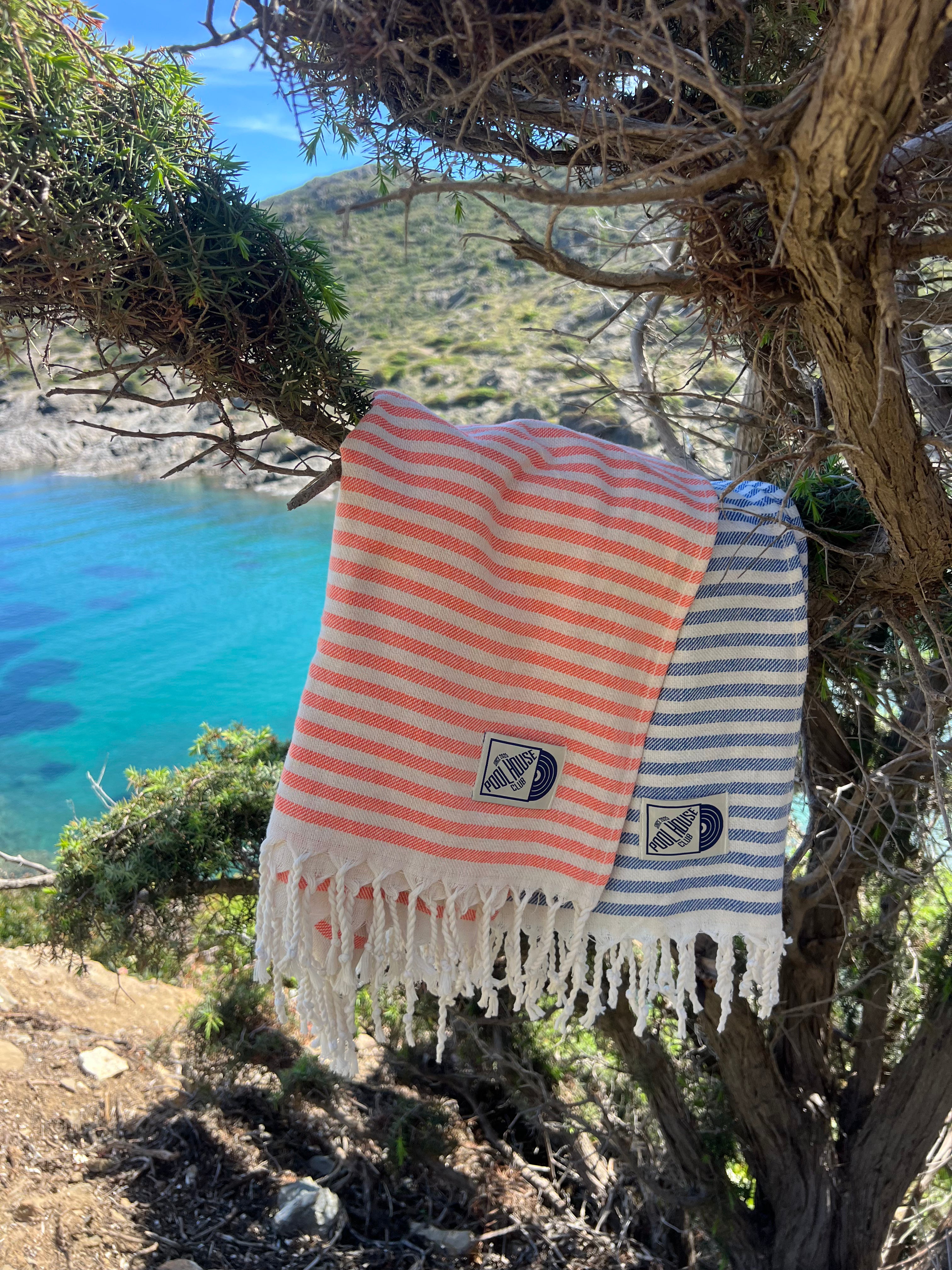 Fouta